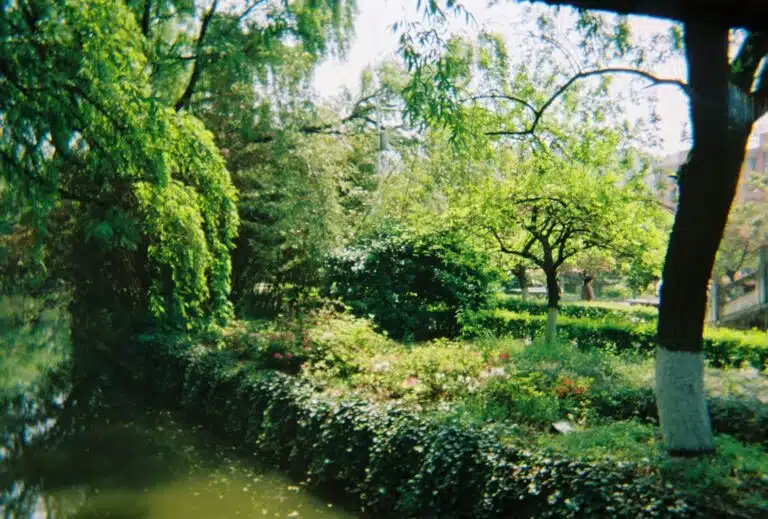 Photo Tuinparken