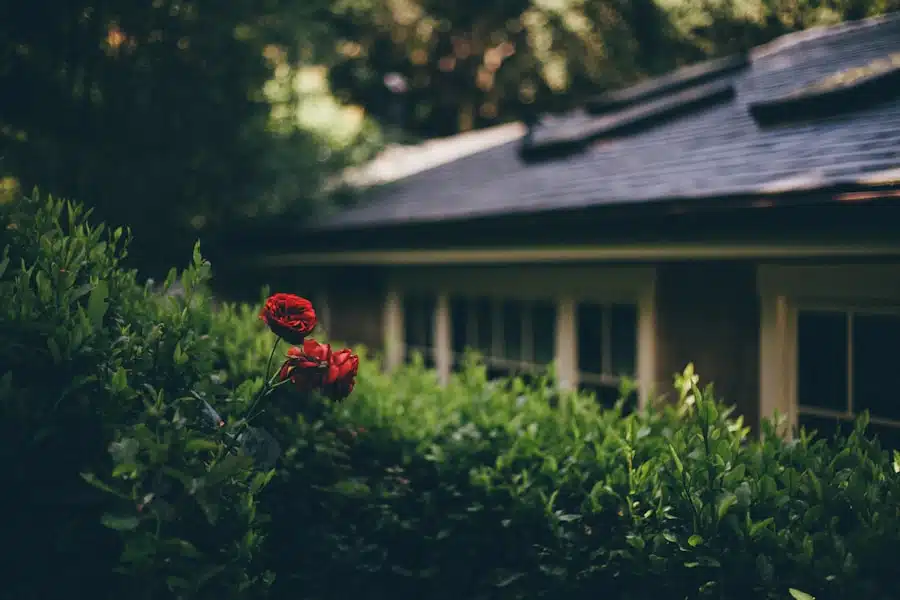 Waarom investeren in een tuinhuis waarde toevoegt aan je woning