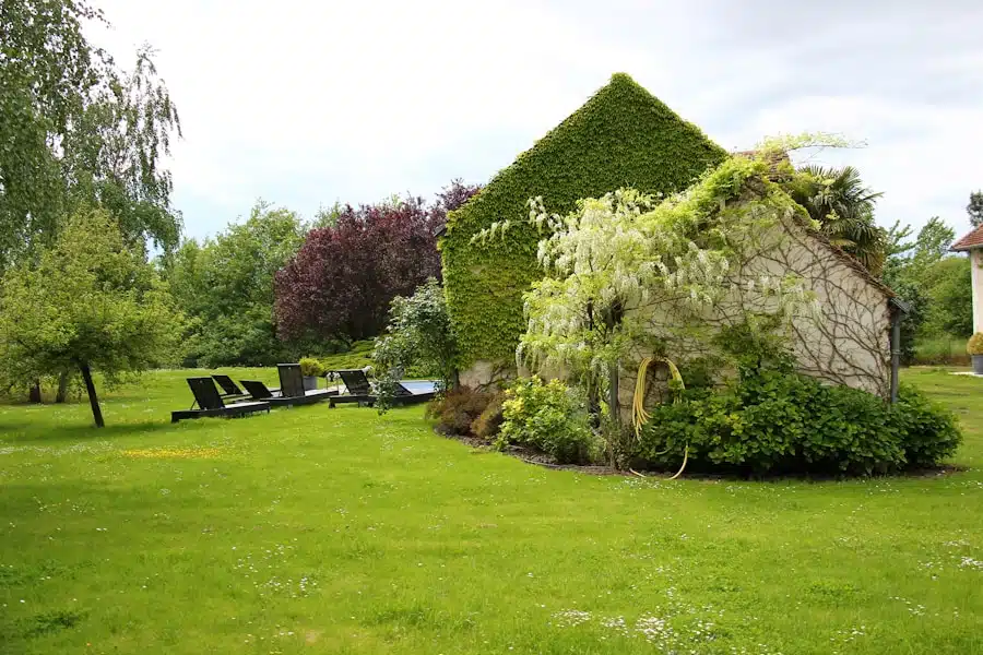 Tuinhuis met sedumdak: goed voor het milieu én je energierekening