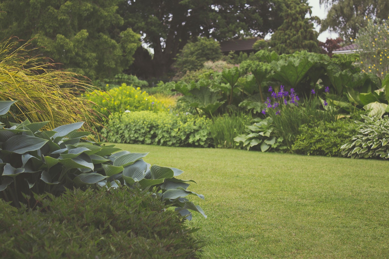 De Beste Planten en Bloemen om Rond uw Tuinhuis te Plaatsen