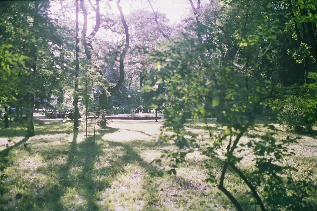 Tuinparken in Nederland: betaalbaar wonen midden in de natuur