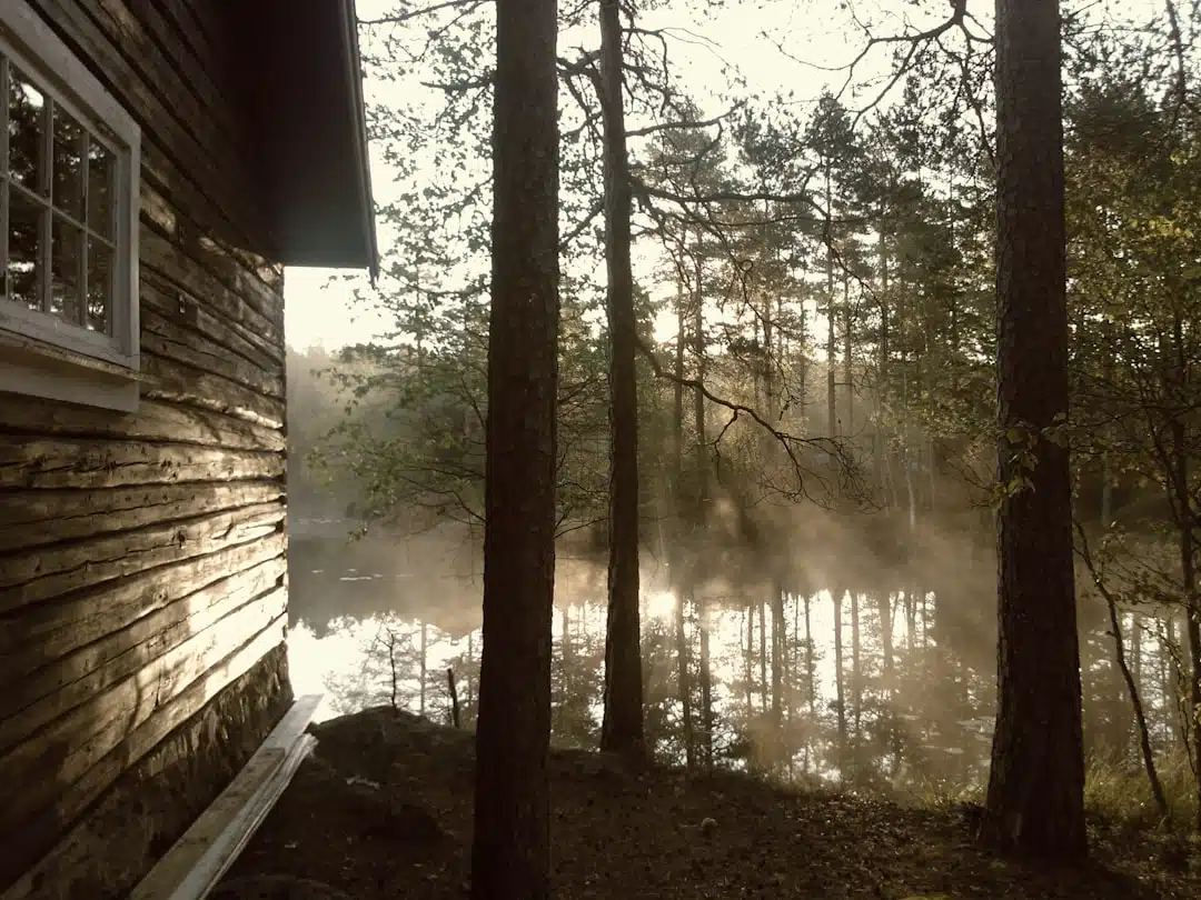 Houten Tuinhuizen: De Natuurlijke Schoonheid van Hout