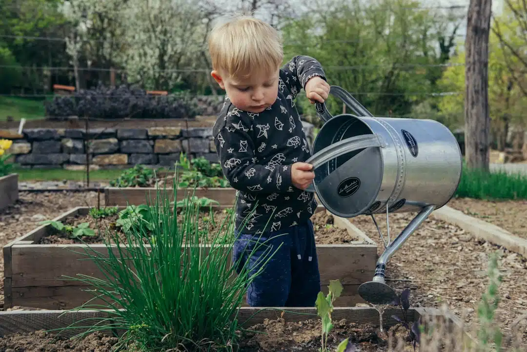 Tuinhuis kopen? Dit zijn de 7 belangrijkste aandachtspunten