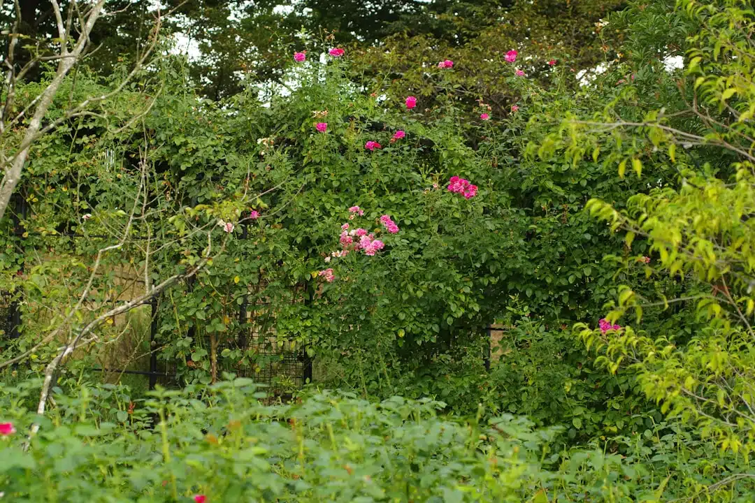 Gemeenschapsgevoel in tuinparken: samenleven in het groen