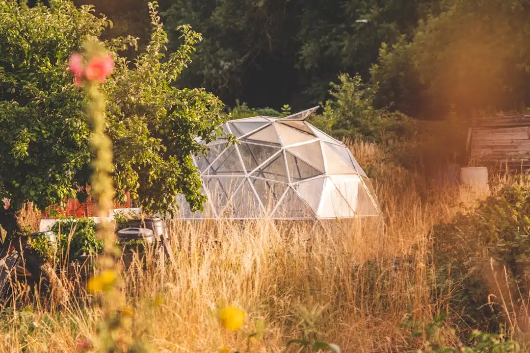 Tuinhuisje klein: de perfecte toevoeging aan jouw tuin