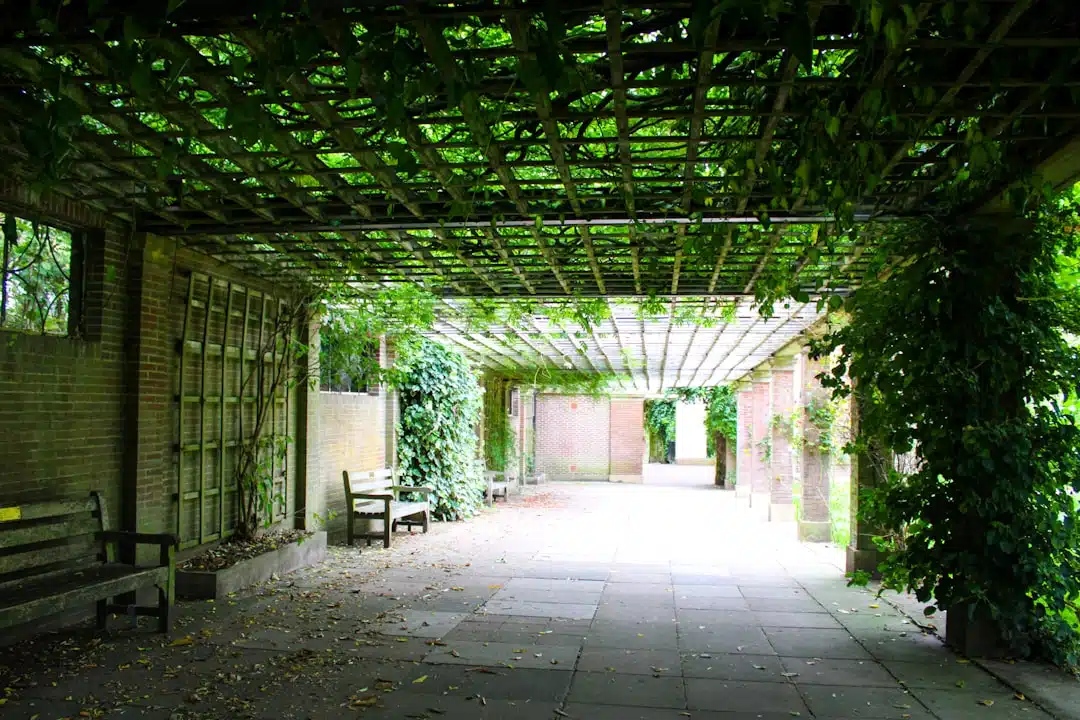 Overkapping Douglas – Duurzaam Hout voor je Tuin