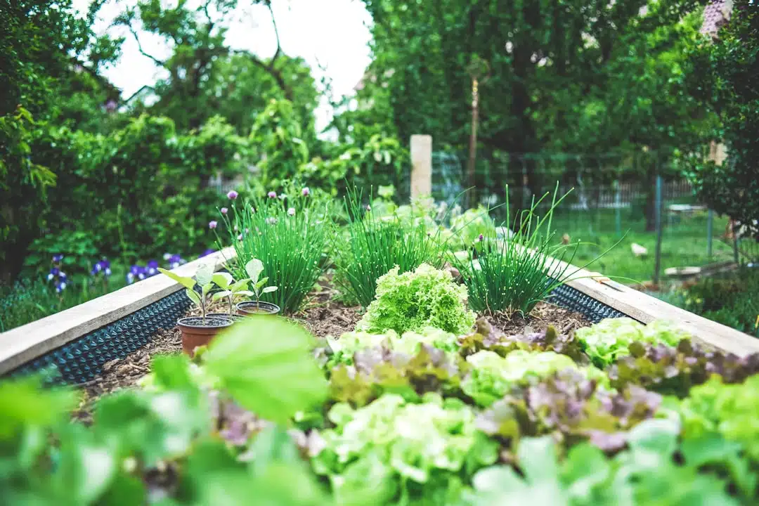 Tuinhuis als Speelhuis: Urenlang Plezier voor Kinderen