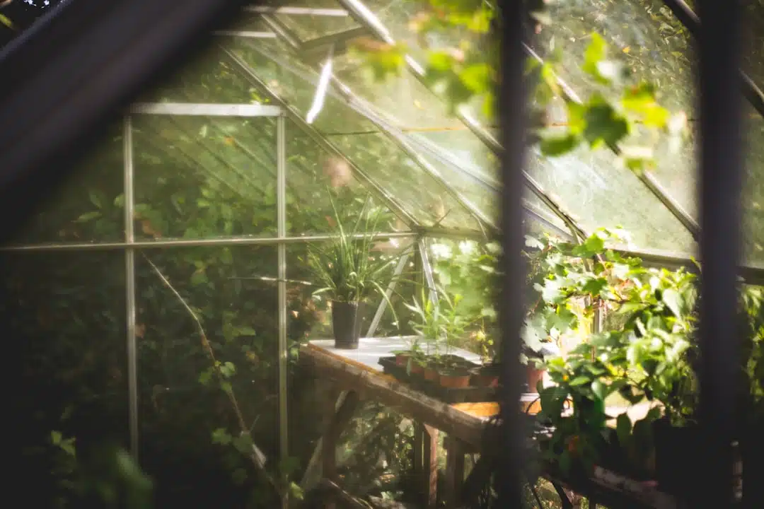 Tuinhuis Aanbiedingen: Vind Jouw Perfecte Tuinhuis voor een Goede Prijs