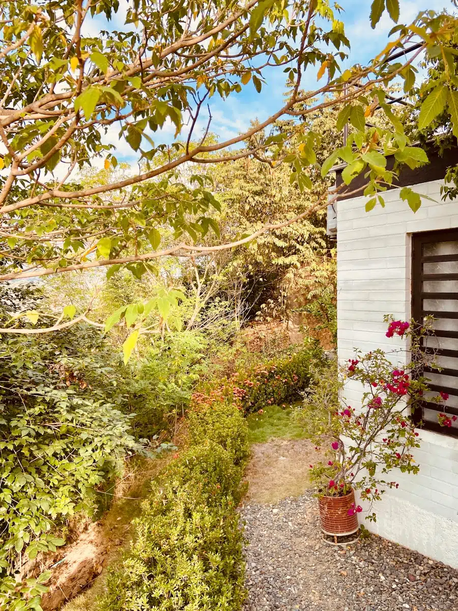 Tuinhuizen voor iedere woonstijl: van landelijk tot modern
