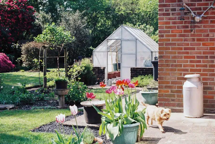 Hoe maak je een onderhoudsplan voor je tuinhuis?