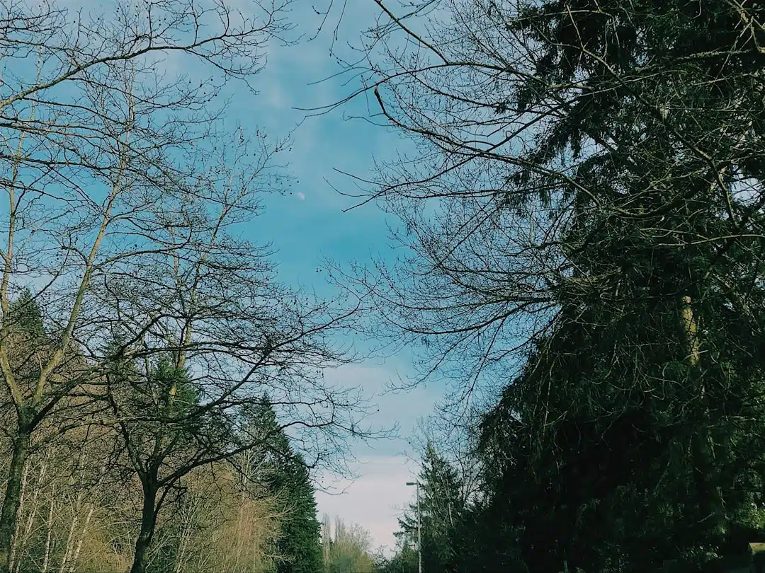 Tuinparken en erfpacht: waar moet je op letten?