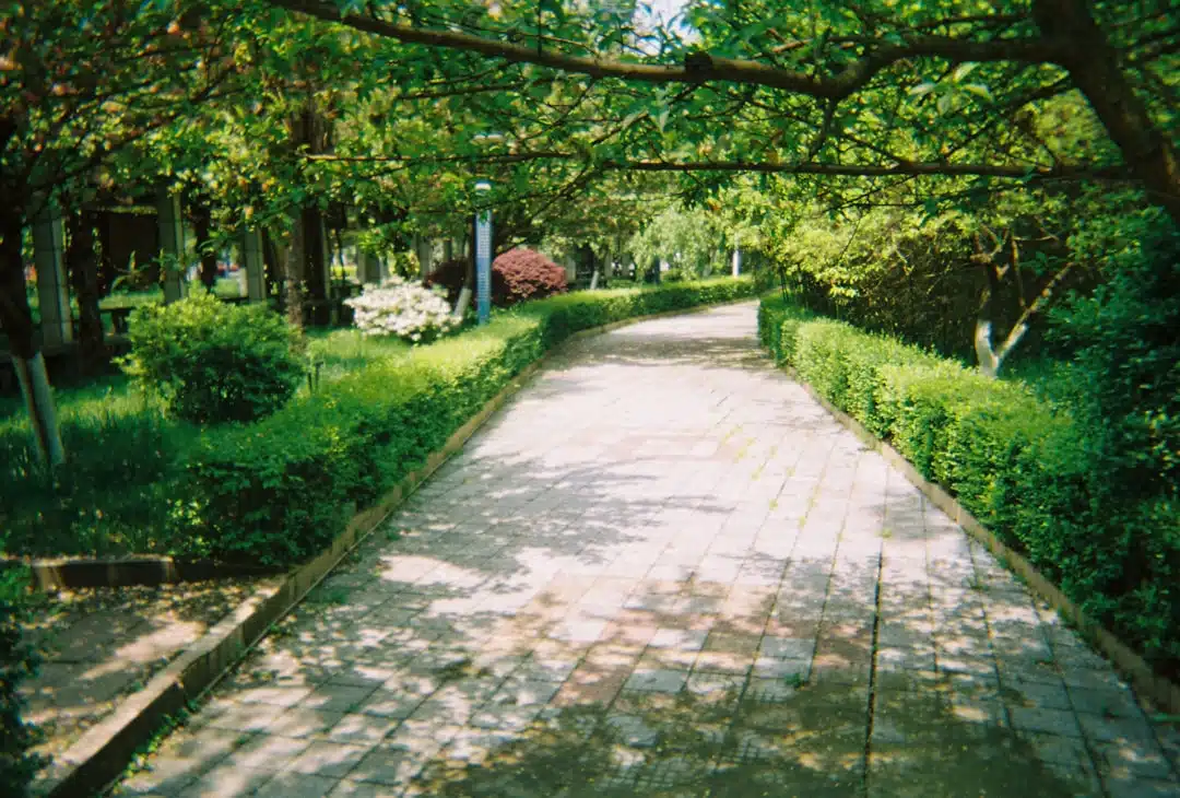 Tuinparken en vakantiegevoel: wonen alsof je altijd weg bent