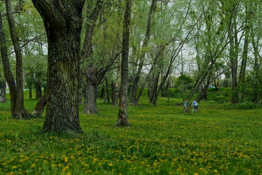 De mooiste tuinparken in Nederland om te ontdekken