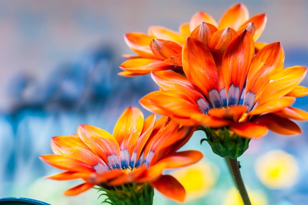 Van rommelhok tot droomhuis: Geef je tuin een upgrade met een stijlvol tuinhuis